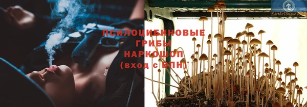 прущий лед Михайлов