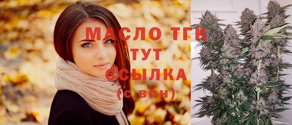 прущий лед Михайлов