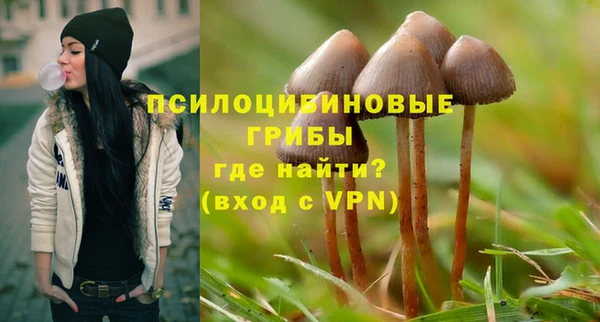 прущий лед Михайлов
